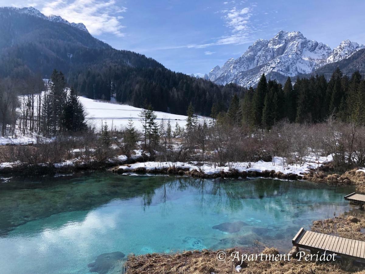 Vila Mojca Apartma Peridot - Center Kranjska Gora Eksteriør billede