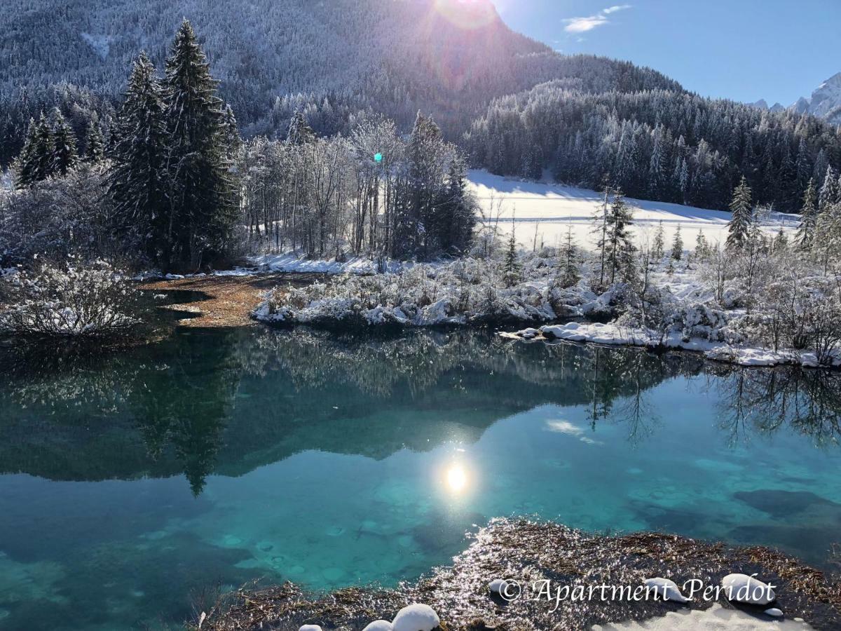 Vila Mojca Apartma Peridot - Center Kranjska Gora Eksteriør billede