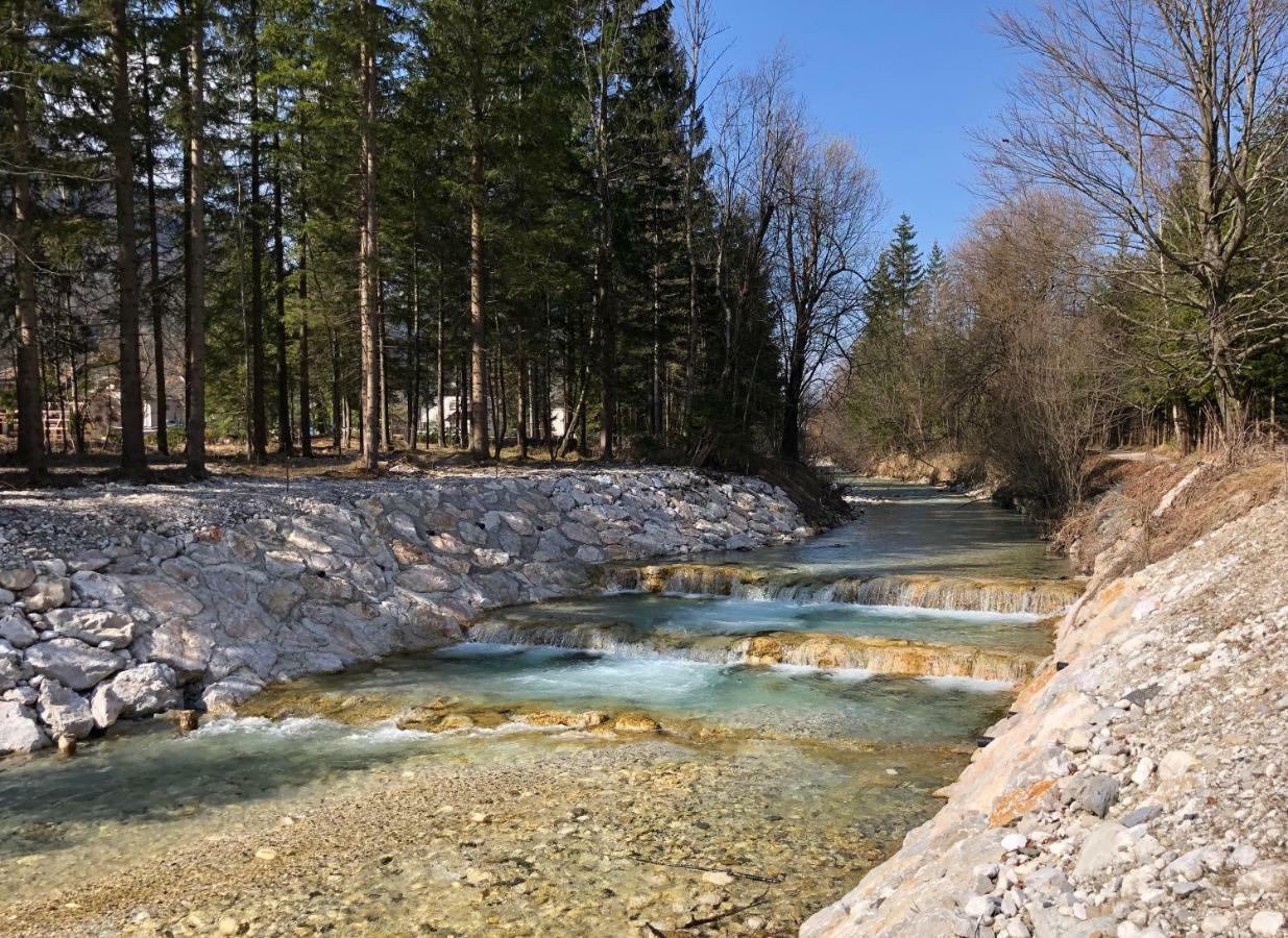 Vila Mojca Apartma Peridot - Center Kranjska Gora Eksteriør billede