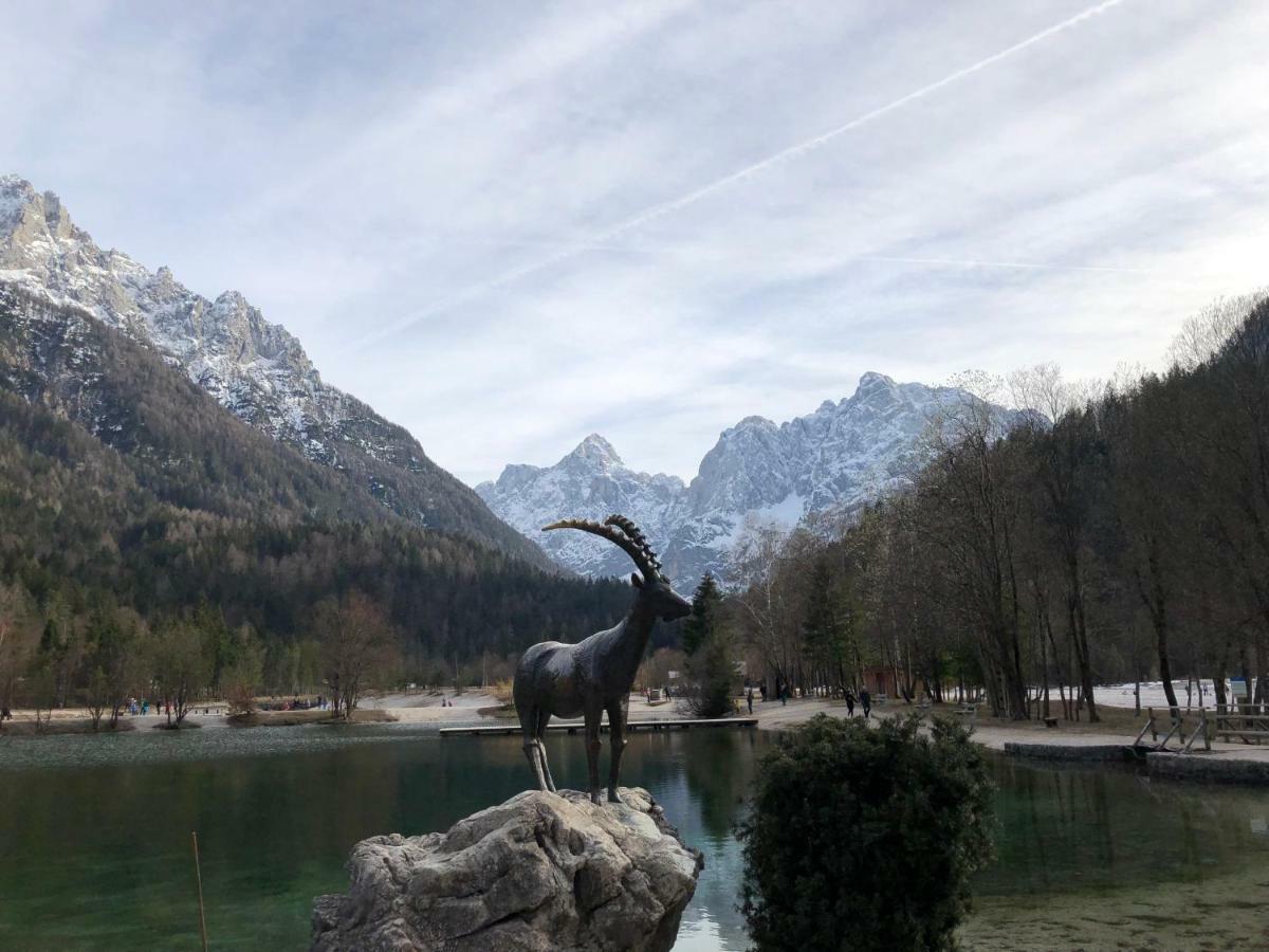 Vila Mojca Apartma Peridot - Center Kranjska Gora Eksteriør billede
