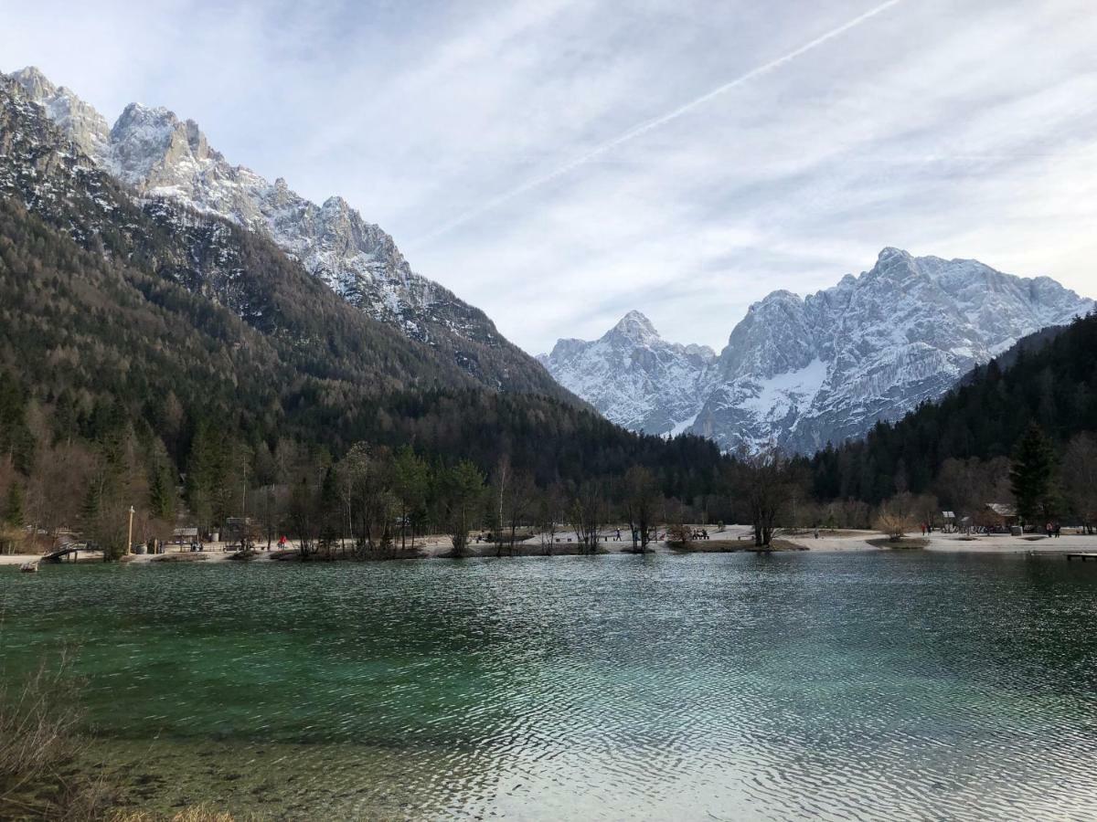 Vila Mojca Apartma Peridot - Center Kranjska Gora Eksteriør billede