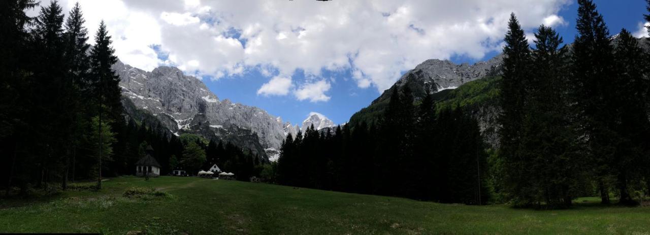 Vila Mojca Apartma Peridot - Center Kranjska Gora Eksteriør billede