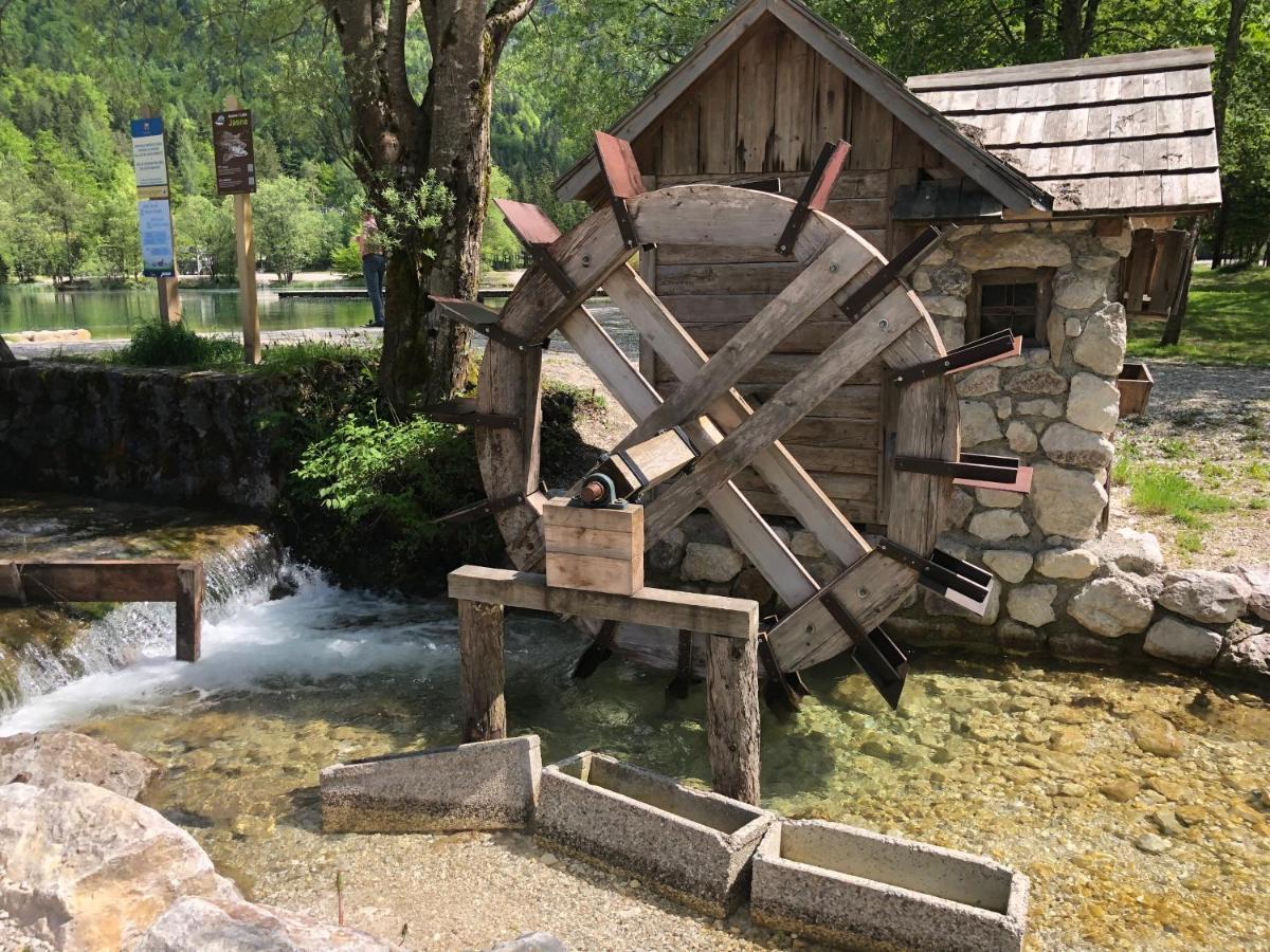 Vila Mojca Apartma Peridot - Center Kranjska Gora Eksteriør billede