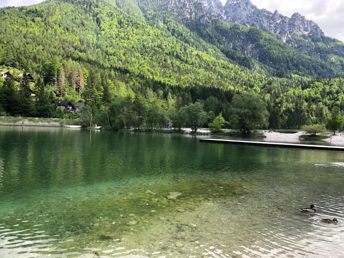 Vila Mojca Apartma Peridot - Center Kranjska Gora Eksteriør billede