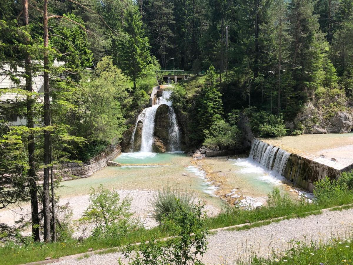Vila Mojca Apartma Peridot - Center Kranjska Gora Eksteriør billede
