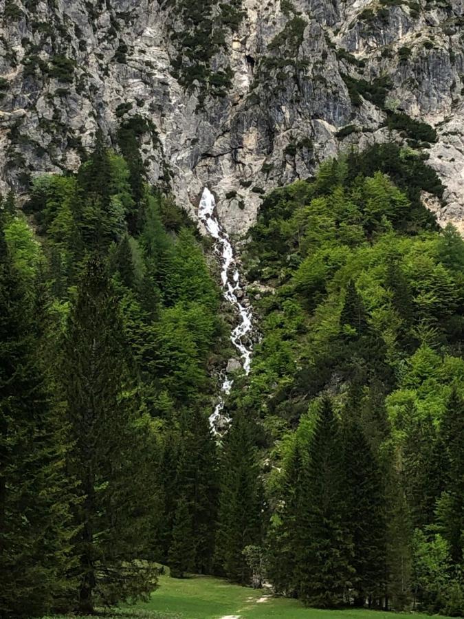 Vila Mojca Apartma Peridot - Center Kranjska Gora Eksteriør billede